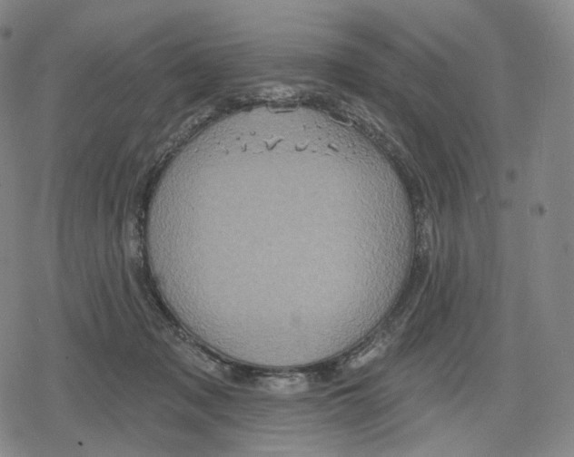 X0000079580317200612221437