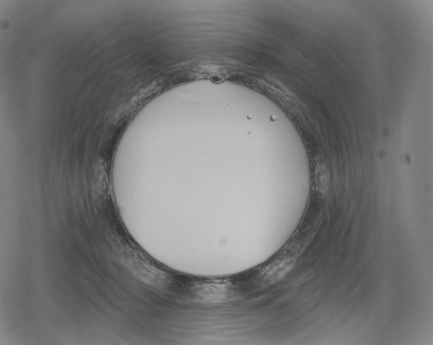 X0000079580318200612221437