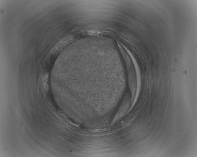 X0000079580319200612221437