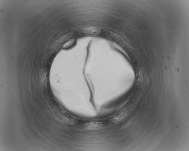 X0000079580320200612221437