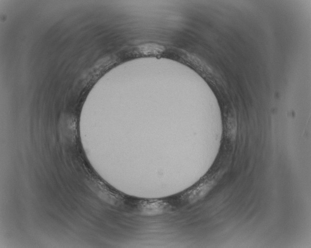 X0000079580321200612221437