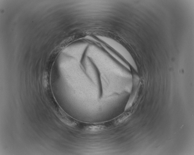 X0000079580323200612221437