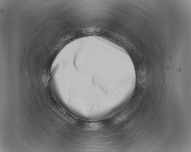 X0000079580324200612221437