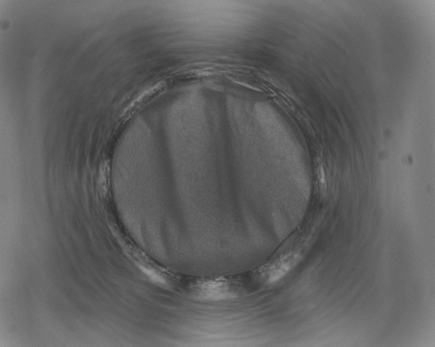 X0000079580325200612221437