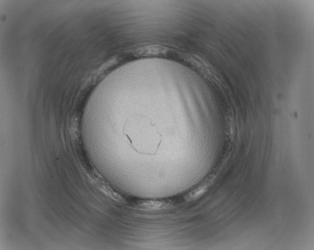 X0000079580326200612221437