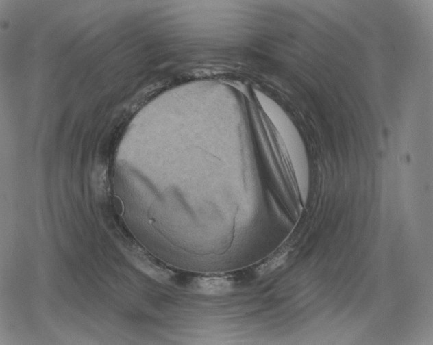 X0000079580327200612221437