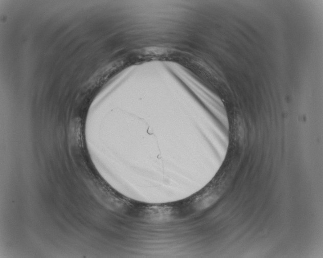 X0000079580328200612221437