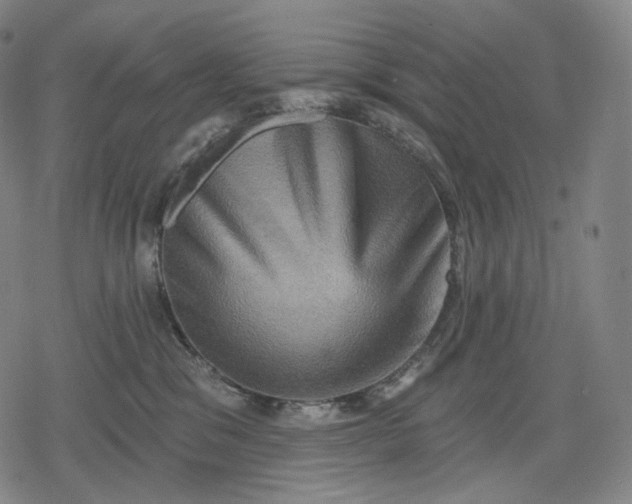 X0000079580329200612221437