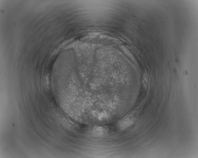 X0000079580330200612221437