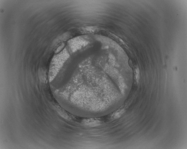 X0000079580331200612221437