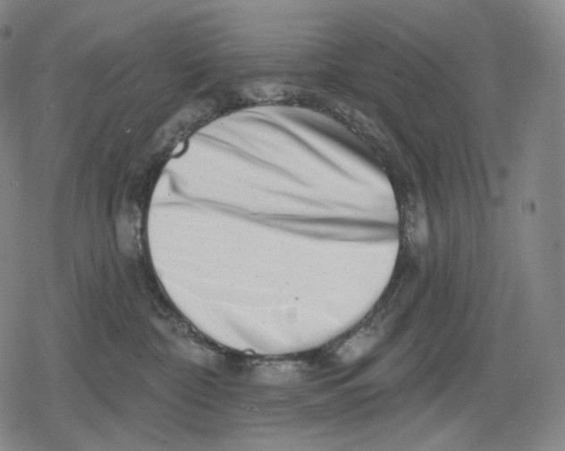 X0000079580332200612221437