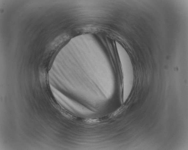 X0000079580333200612221437