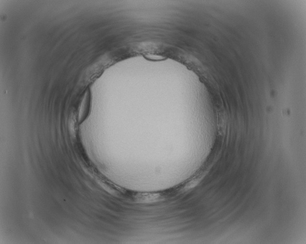 X0000079580334200612221437