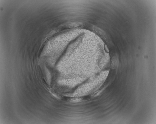 X0000079580335200612221437