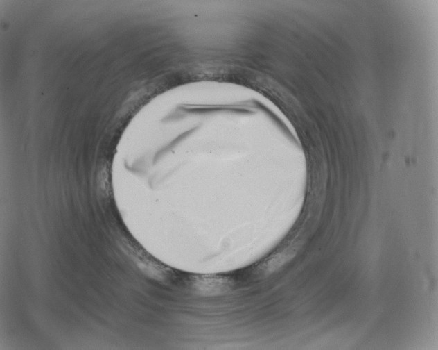 X0000079580336200612221437