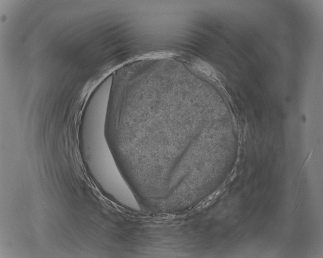 X0000079580337200612221436