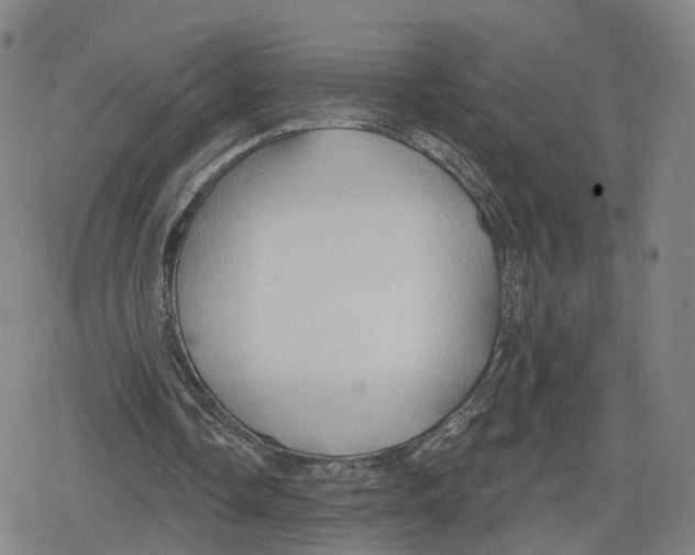 X0000079580338200612221436