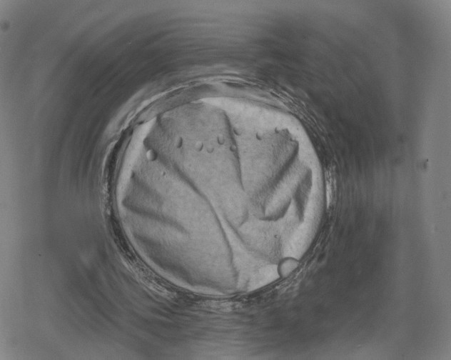 X0000079580339200612221436