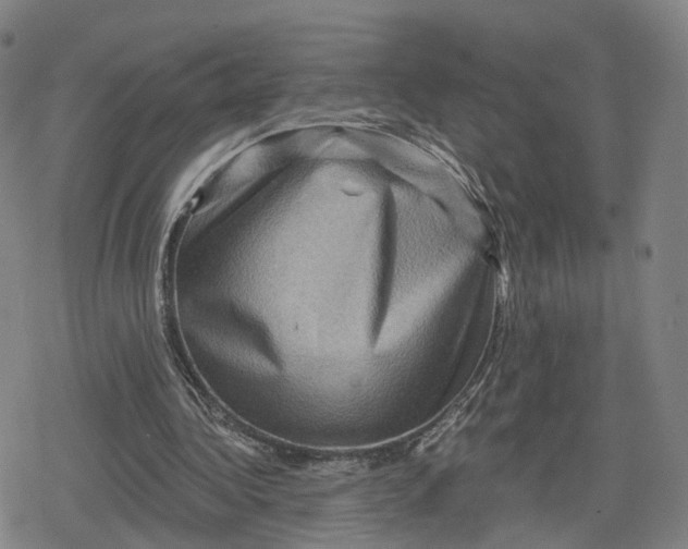 X0000079580340200612221436