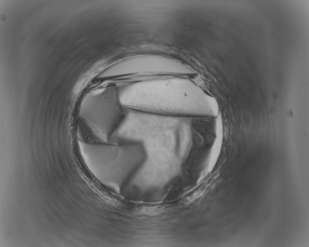 X0000079580341200612221436