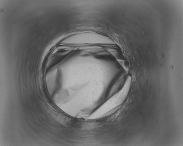 X0000079580342200612221436