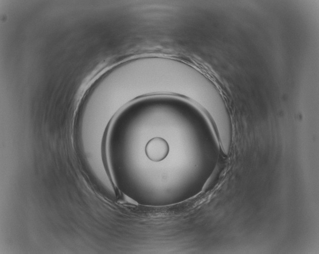 X0000079580344200612221436