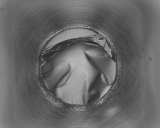 X0000079580345200612221436