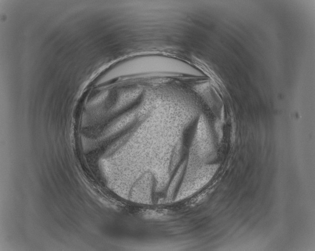 X0000079580346200612221436