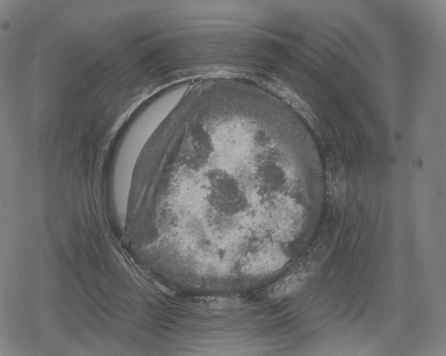 X0000079580347200612221436