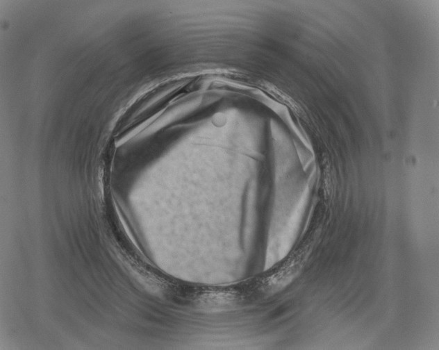 X0000079580350200612221436