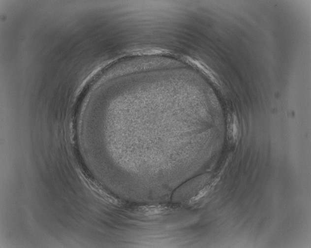 X0000079580351200612221436