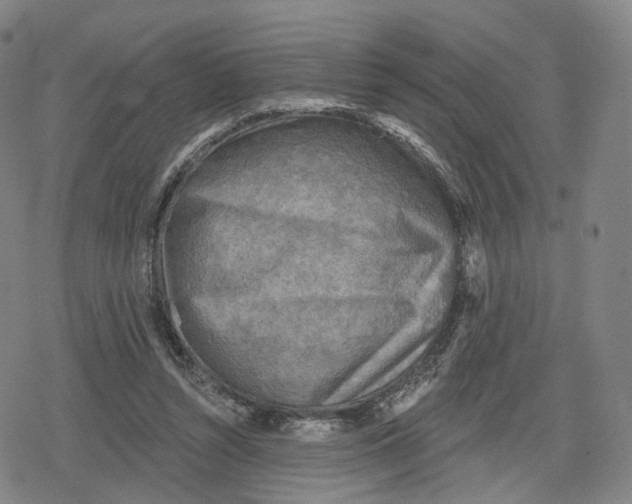 X0000079580352200612221436