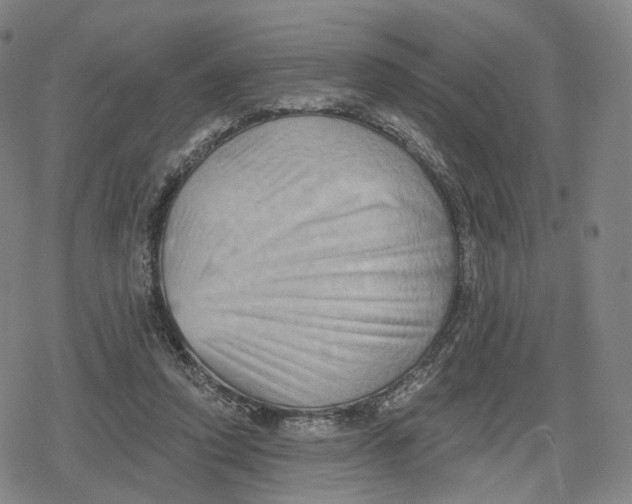 X0000079580354200612221436