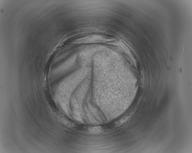 X0000079580355200612221436