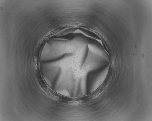 X0000079580356200612221436