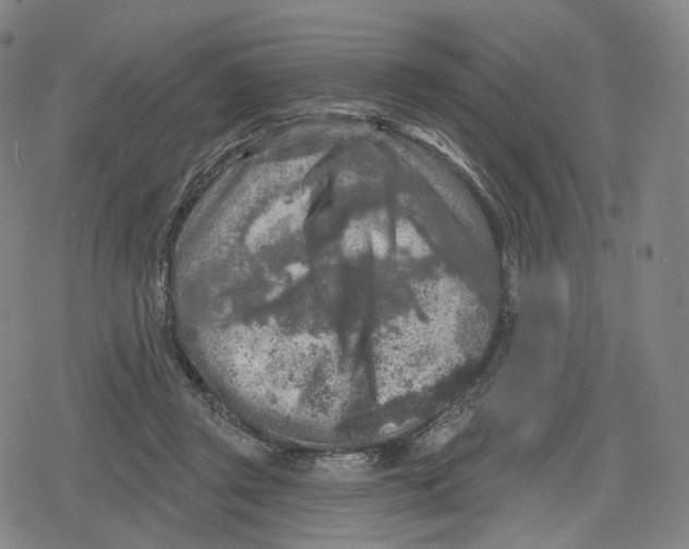 X0000079580357200612221436