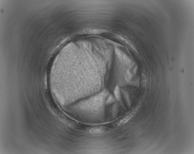 X0000079580358200612221436