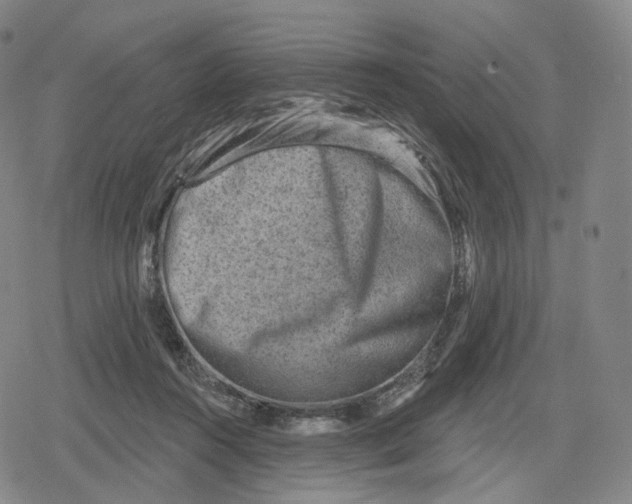 X0000079580360200612221436