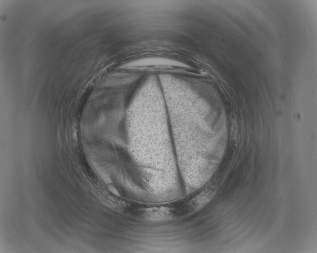 X0000079580363200612221436