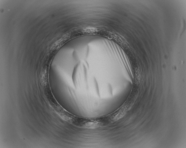 X0000079580364200612221436