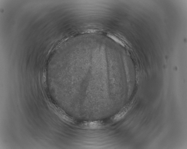 X0000079580365200612221436