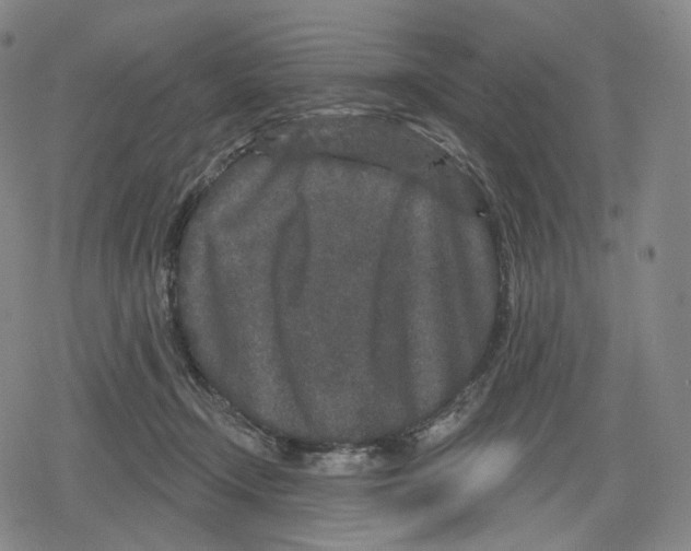 X0000079580366200612221436