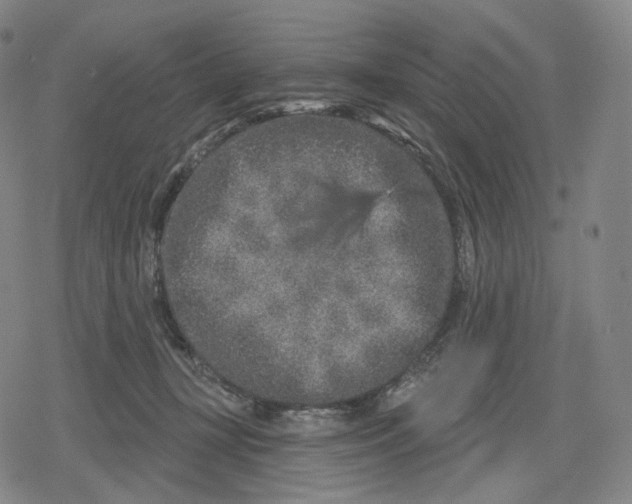 X0000079580367200612221436