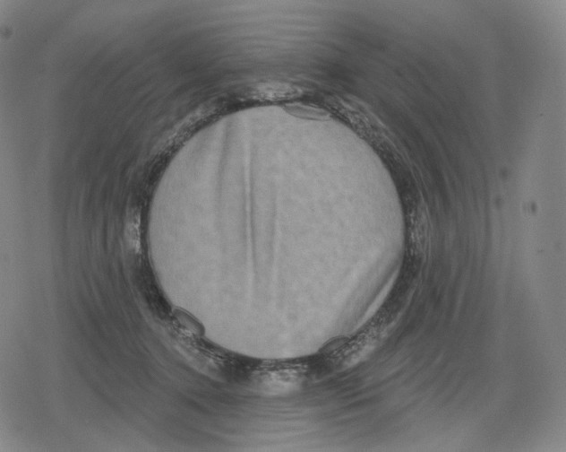 X0000079580368200612221436