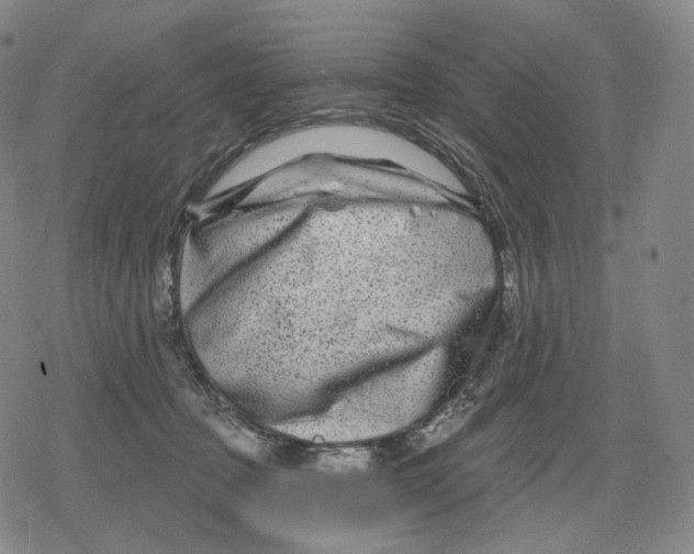 X0000079580369200612221436