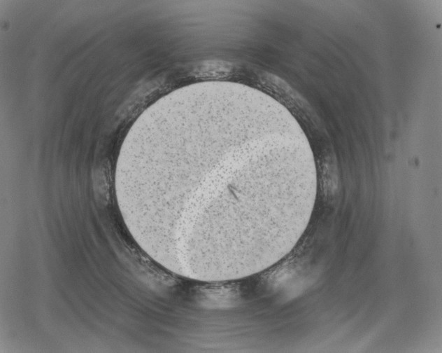 X0000079580370200612221436