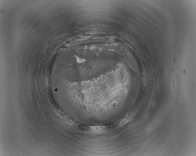 X0000079580371200612221436