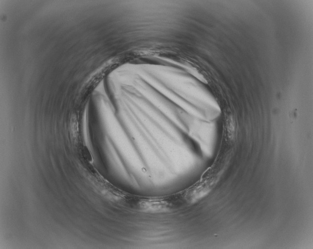 X0000079580372200612221436