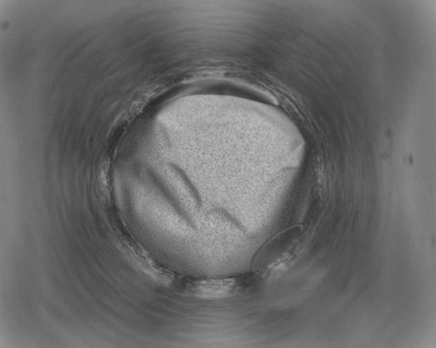 X0000079580373200612221436