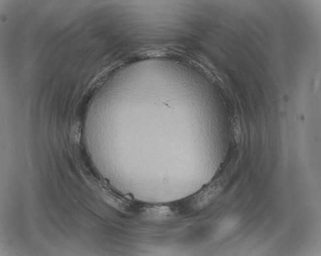 X0000079580374200612221436